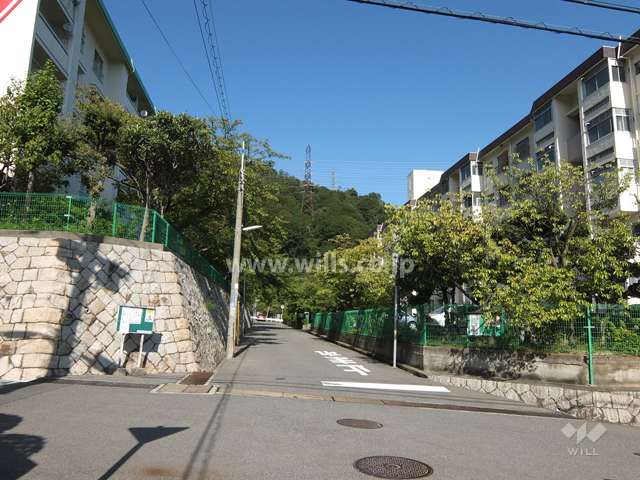 敷地北西側の前面道路