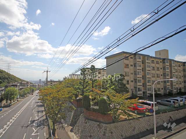 敷地東側の前面道路。