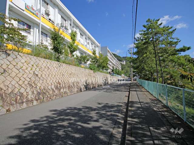 敷地南側の前面道路