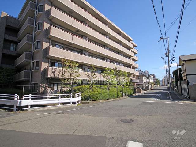 敷地南側の前面道路
