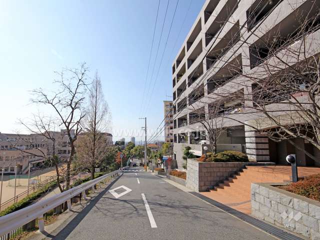 敷地東側の前面道路。道を挟んで親和学園があります。