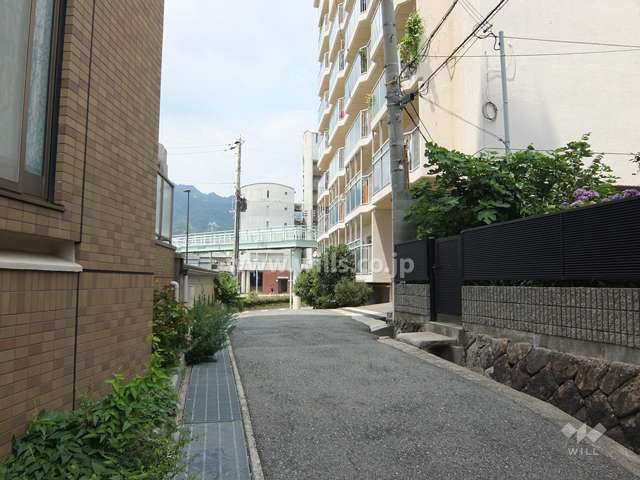 敷地西側の通路