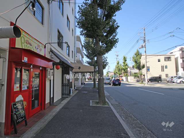 敷地北側の前面道路