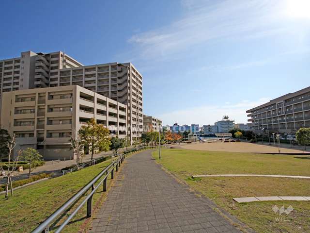 敷地西側の前面道路