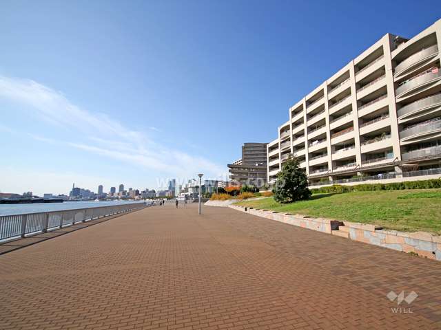 敷地南側の遊歩道