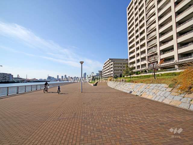 敷地南側の遊歩道