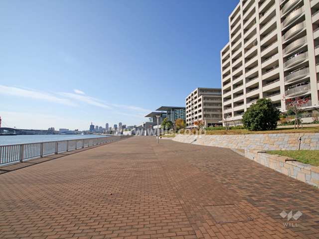 敷地南側の遊歩道