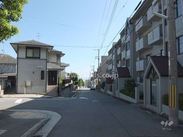 敷地東側の前面道路（北側から）