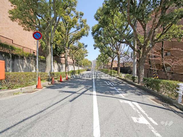 敷地北側の前面道路