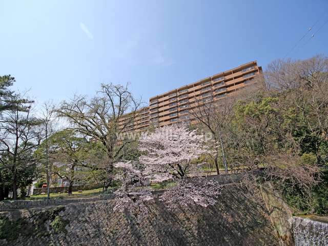 六甲グランドヒルズ3号館の外観(南東側から)