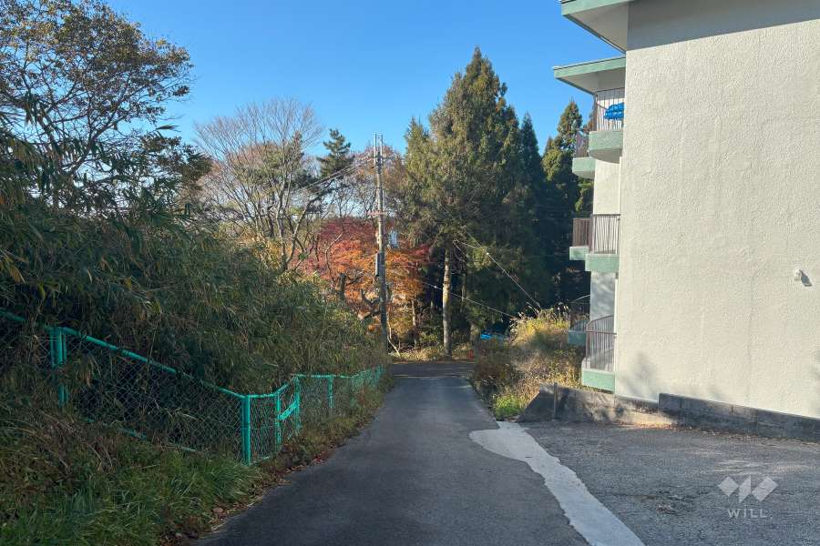 敷地南東側の前面道路（北東側から）