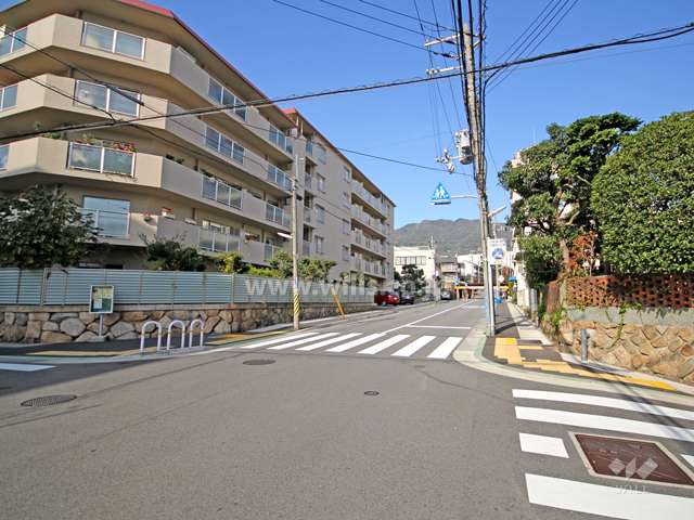 敷地東側の前面道路