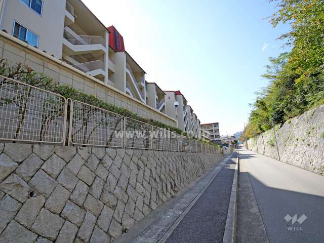 敷地北側の前面道路。