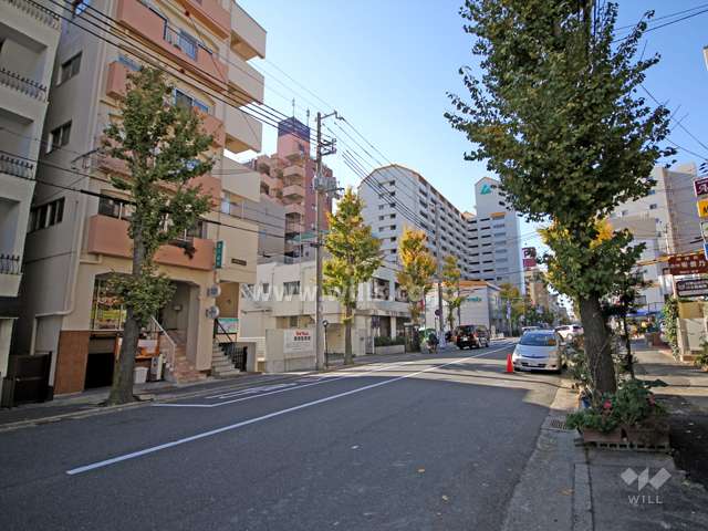 敷地北側の前面道路