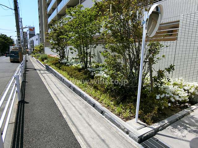敷地内の各所に植栽スペースが設けられています。