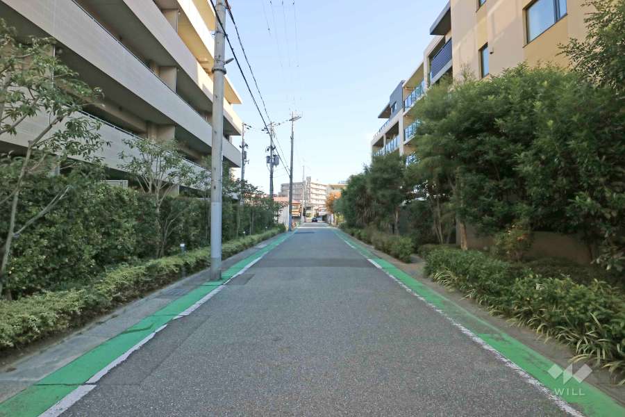 敷地南東側の前面道路（南西側から）