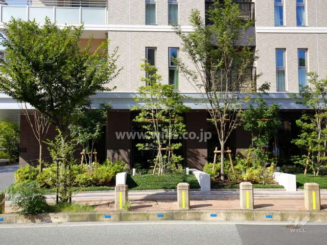 通りに面して植栽スペースが設けられています。