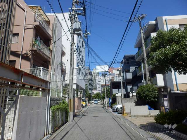 敷地南側の前面道路（西側から）