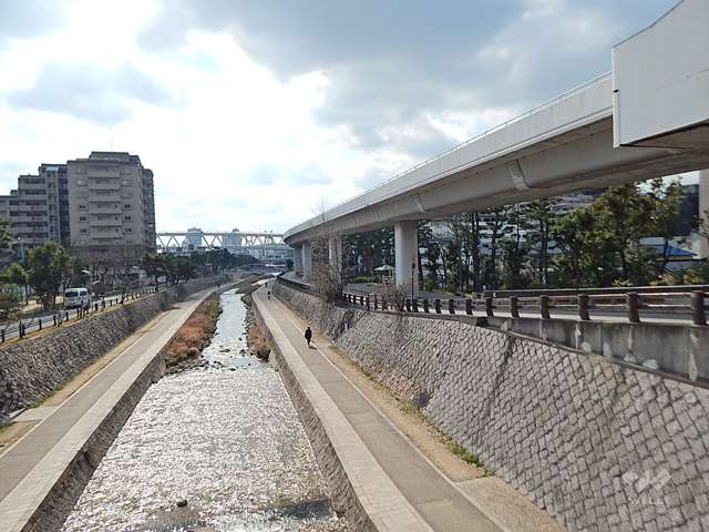 敷地の東側には住吉川が流れています。