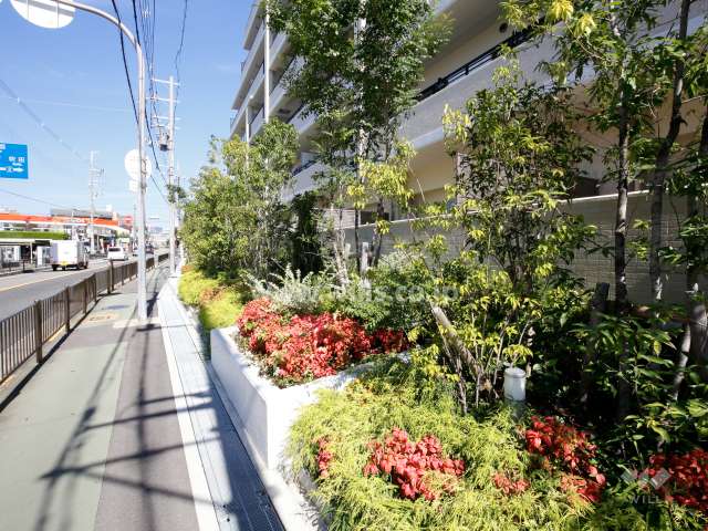 バス通りに側には植栽スペースが設けられています。