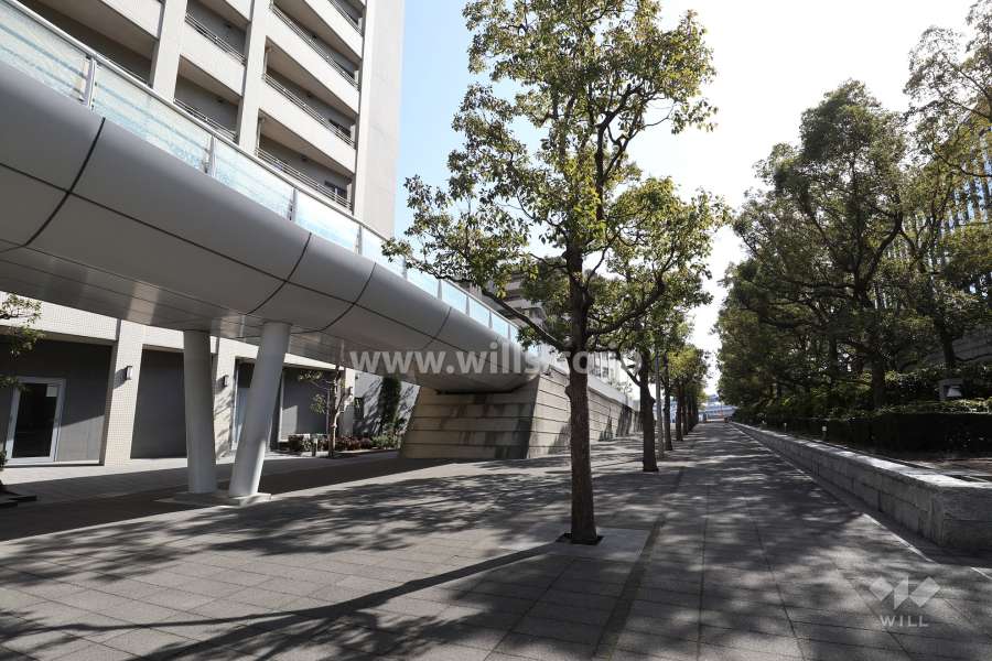 敷地西側の前面道路。市の認定道路で独立専用自転車歩行者道です。