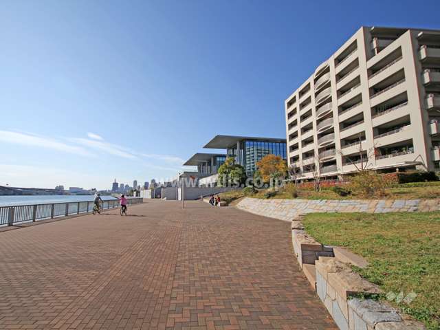 敷地南側の遊歩道