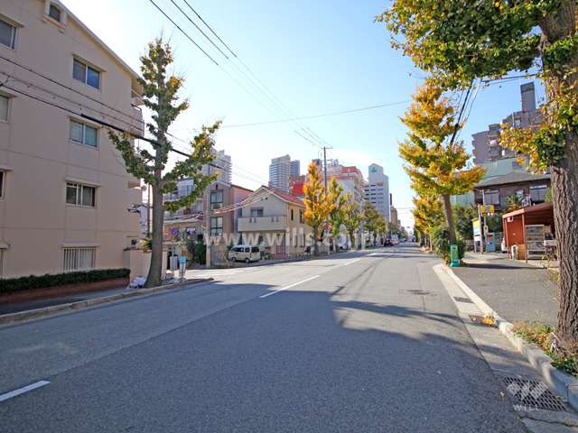 敷地北側の前面道路