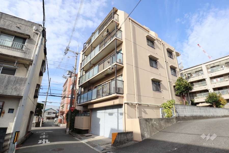 清風荘レックスマンションの外観（南東側から）