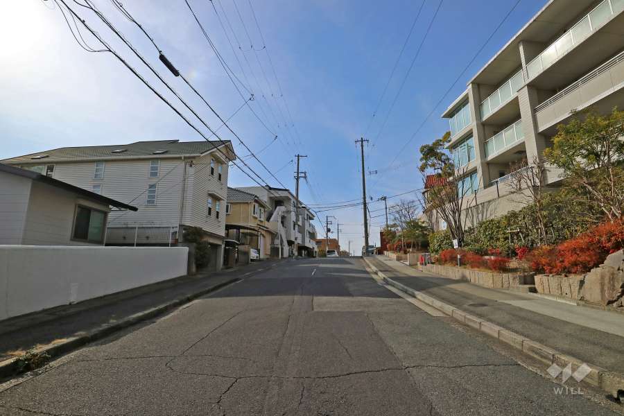 敷地南東側の前面道路（北東側から）