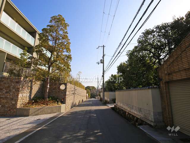 敷地南側の前面道路
