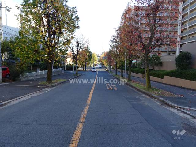 物件の西側駐車場へ通じる道路（北側から）