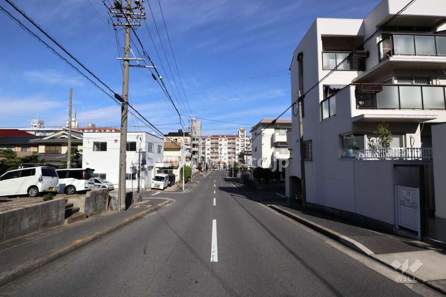 敷地西側の前面道路（南側から）