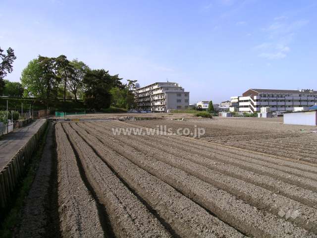 敷地の北側には田畑が広がっています。