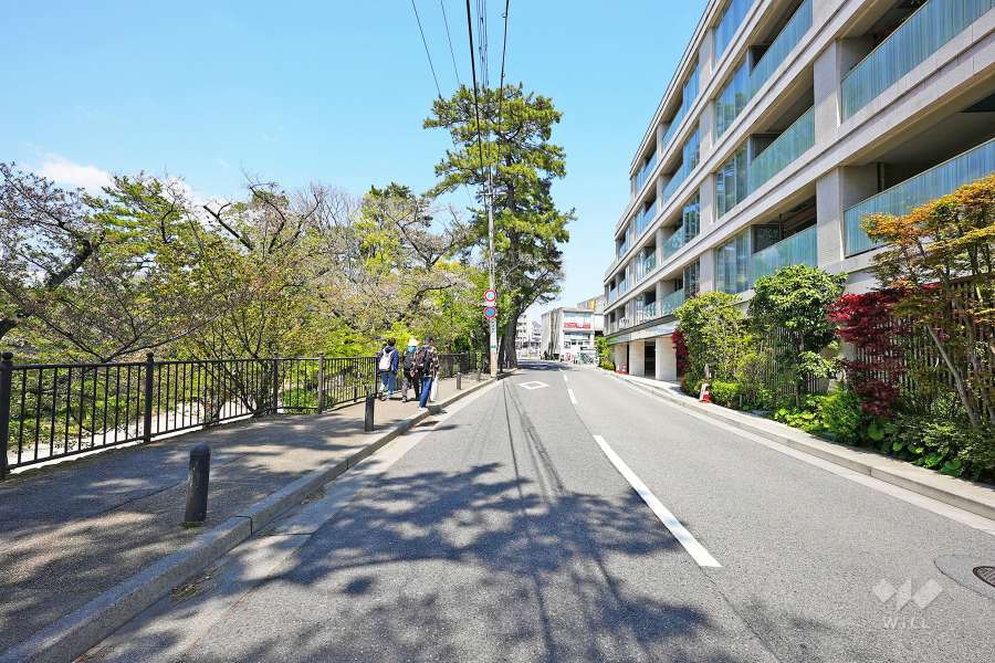 敷地西側の前面道路（南側から）