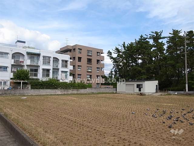 周辺はマンションが多く立ち並ぶ住宅地。すぐ東側には服部緑地があります。