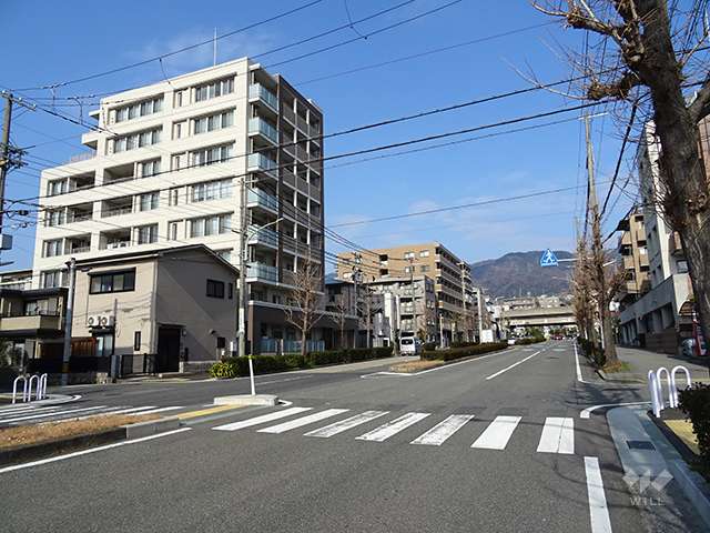 敷地東側の前面道路。都市計画道路弓場線です。