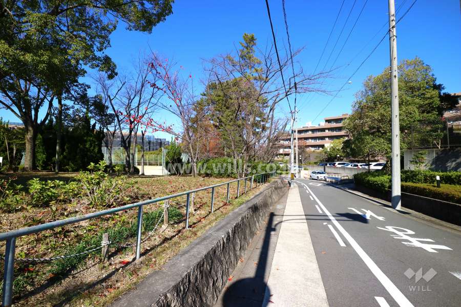 敷地南西側の前面道路２（写真左手に揚羽公園があります）