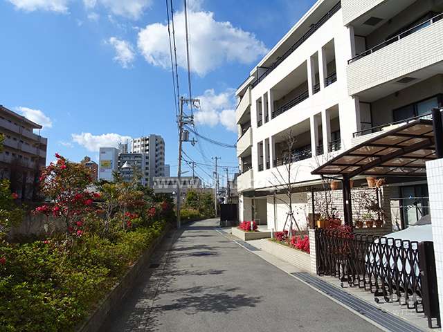敷地南側の前面道路