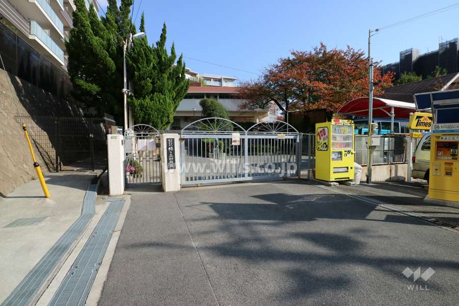 敷地西側の前面道路。