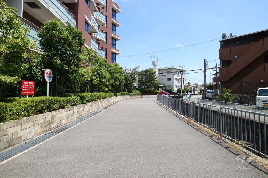 敷地西側の前面道路（北西側から）