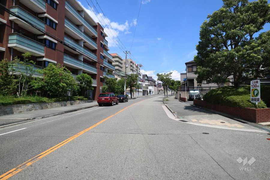 敷地南側の前面道路（西側から）