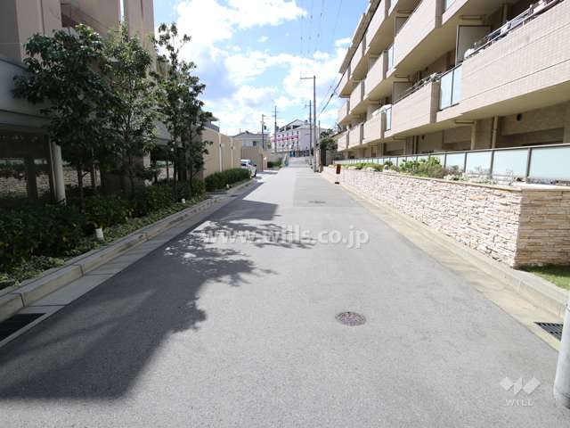敷地北西側の前面道路（北東側から）