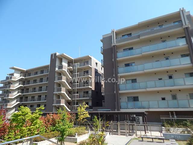 建物北面のフォルム