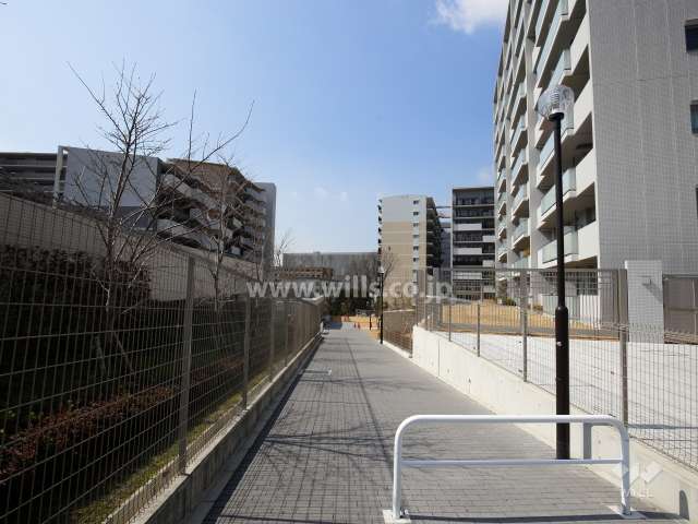 敷地南側の遊歩道