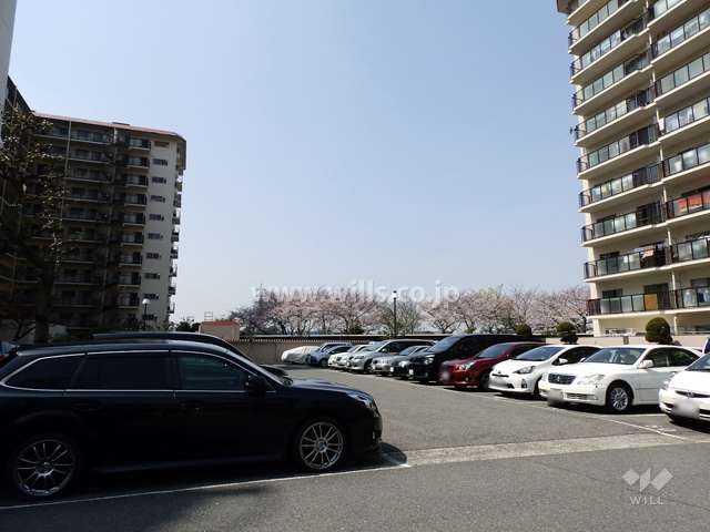 敷地内駐車場※屋外平面式駐車場です。