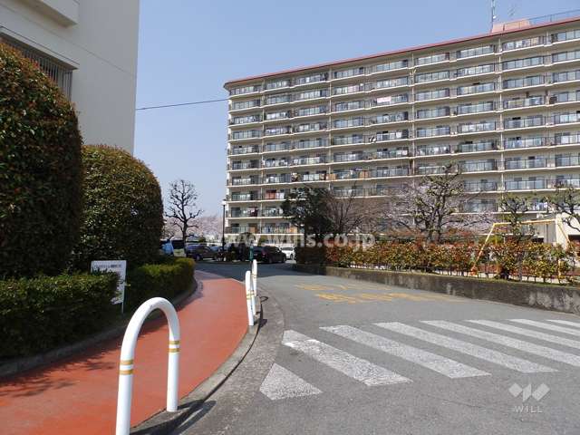 敷地北側前面道路