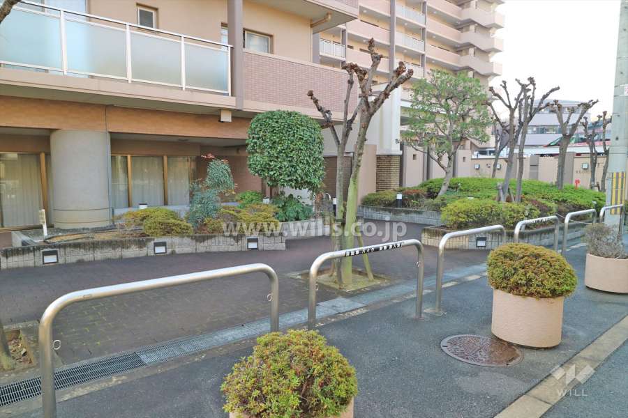 エントランスの植栽