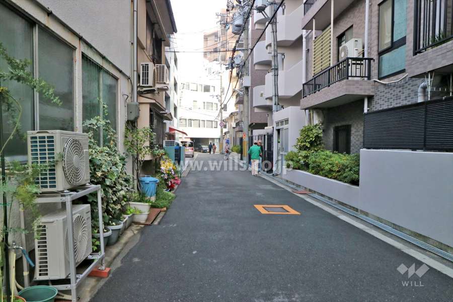 北西側前面道路(南西側から）