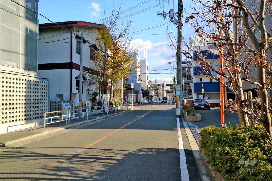 敷地北東側の前面道路（北西側から）