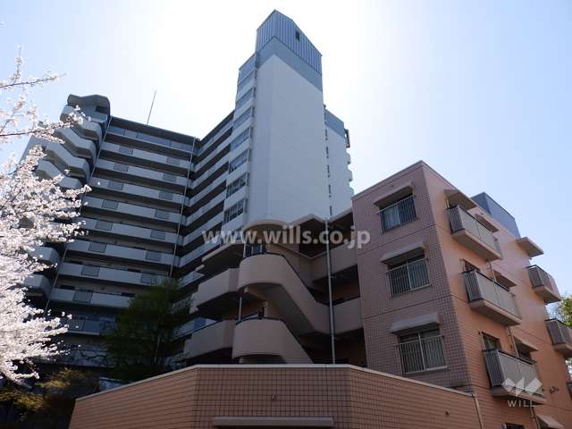 リバライン井高野3号棟の外観(北側から)